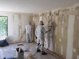 Best Basement Mold Removal  in Park City, KS